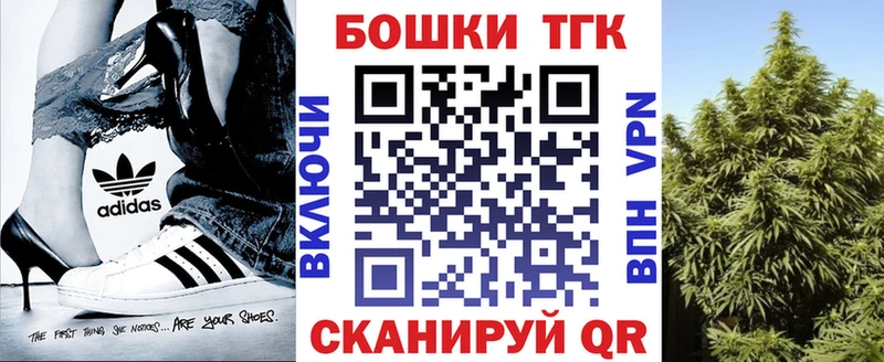 мега   купить наркотик  Новохопёрск  Бошки Шишки ГИДРОПОН 